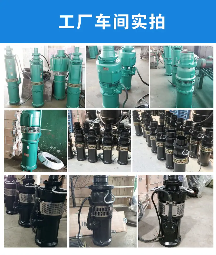 油浸泵详情_16