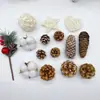 Pinhas Secas Naturais Materiais de Decoração para Árvore de Natal Fotografia de Bolos e Sobremesas Adereços para Fotografia de Buquês Florais Baoshi