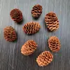 30 Pinhas, Pinhas Bonitas, Decoração de Jardim de Infância, Joias Criativas Feitas à Mão, Pintura de Pinhas, Torre de Pinhas DIY Pinha