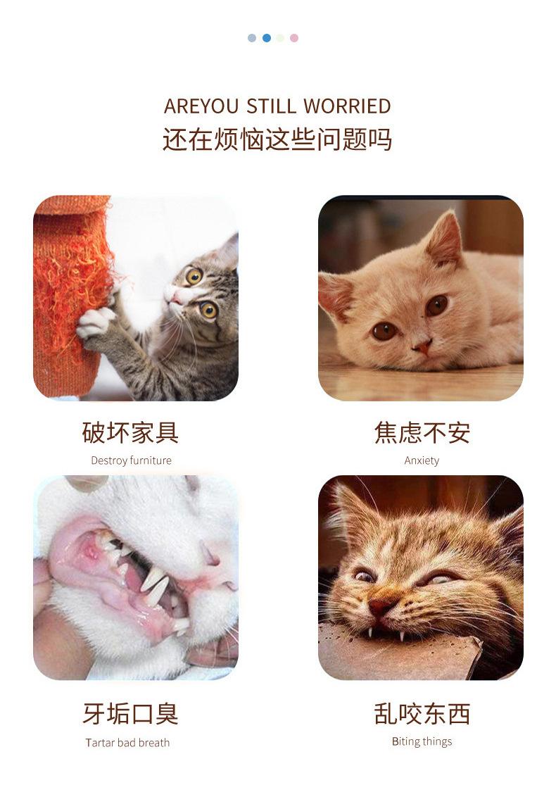 详情_05