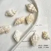 Colgante de Concha de Caracola Natural con Agujeros para Pulsera Collar Hecho a Mano DIY Material de Cuentas Accesorios Accesorios Hechos a Mano