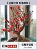 Plántulas de Wintersweet Ciruelos en Maceta Bonsái de Tronco Viejo con Florales Plantas Resistentes al Frío Florales Sala de Estar Interior Balcón Florece en Todas las Estaciones