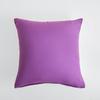Funda de Almohada de Terciopelo Liso Cepillado de Amazon Seleccionada Cuidadosamente, Cojín de Sofá Grueso de Color Sólido Simple, Funda de Almohada Cuadrada para Sala de Estar, Dopamina