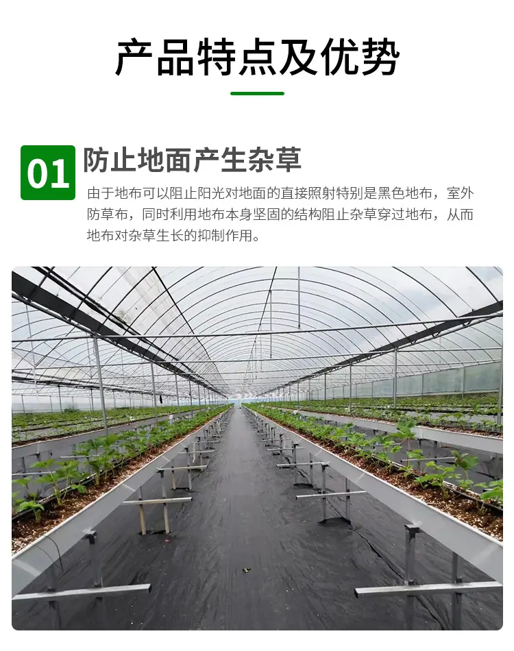 防草布_06.jpg