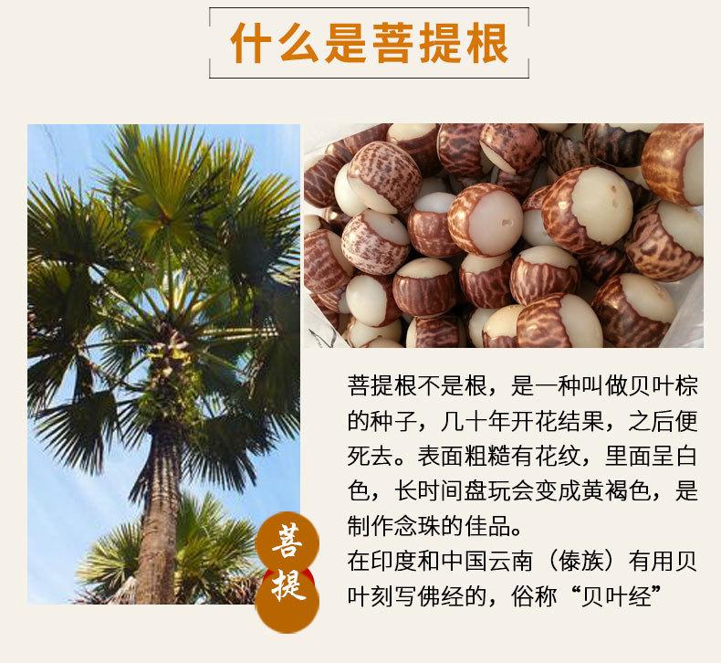 白菩提根手串_12.jpg