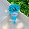 Flores Eternas, Flores Secas, Mini Buquê de Gipsofila Caixa de Presente Decoração 520 Lembrancinha Presente Combinando Adereços para Fotos