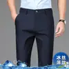 Pantalones Casuales de Negocios de Gama Alta para Hombre 2026 Otoño Pierna Recta Holgada Pantalones de Nuevo Estilo para Hombres de Mediana Edad Primavera y Otoño Pantalones de Vestir Formales