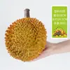 Modelo de Fruta y Verdura de Simulación Adorno de Manzana de Plástico Pitahaya Mango Fruta Biónica Falsa Decoración Accesorios de Exhibición