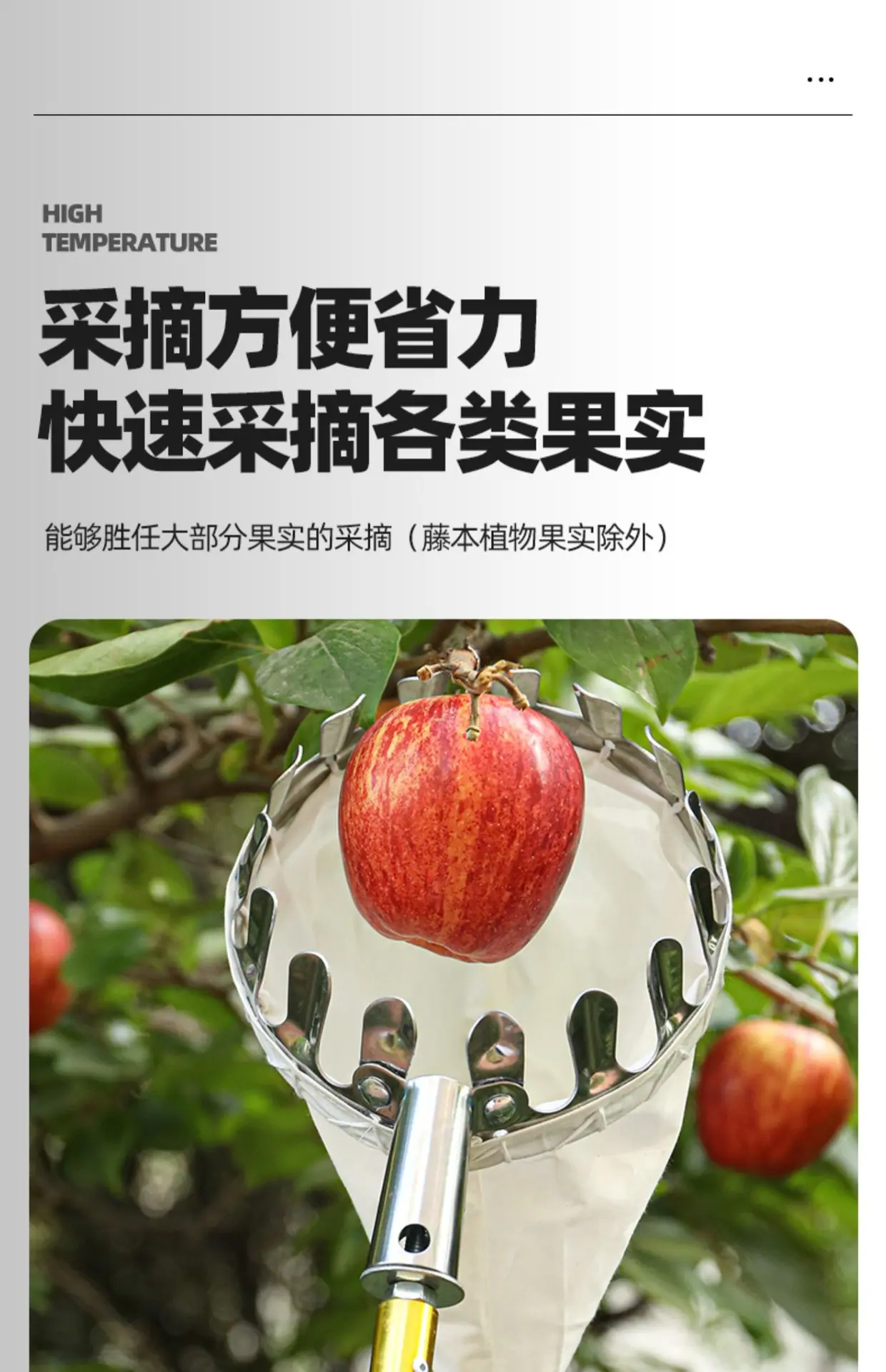 详情图片_10.jpg