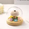 Adornos creativos de escritorio, conchas marinas, regalos de cumpleaños, decoraciones culturales y creativas, adornos pequeños luminosos de escritorio con cúpula de cristal al por mayor