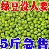 2.5kg Judías Verdes de Granja del Noreste Judías Verdes Nuevas Papilla de Judías Verdes Sopa de Judías Verdes Brotes de Judías Verdes Pastel de Judías Verdes 100g