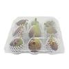 Venta al por mayor 9 empaques transparentes para higos caja de plástico para maracuyá dorada desechable porta blíster para frutas y verduras con tapa