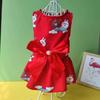 Falda para perro y gato de primavera y verano, nueva, oso de peluche Bomei, suministros para mascotas, falda con lazo, ropa para perro