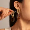 Pendientes de Cadena Geométricos de Leopardo Exagerados Europeos y Americanos de Aguja de Plata Pendientes de Tendencia de Moda Pendientes Elegantes Retro Maillard para Mujeres