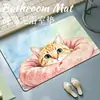 Alfombrilla de baño linda de gato de tierra de diatomeas, alfombrilla absorbente de secado rápido para pies de inodoro, alfombrilla antideslizante de dibujos animados para entrada de baño