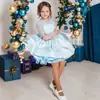 Vestido de Princesa Azul para Niñas Transfronterizo Nuevo Vestido Infantil Pasarela Dama de Honor Boda Tutú Falda Verano