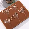 Elegante Casual Dos Tonos Perlado Cuentas de Arroz Rama de Árbol DIY Tejido a Mano Pasador de Pelo con Cuentas Accesorios para el Cabello Material para Pendientes Venta al por Mayor