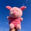 Juguetes de Peluche, Muñecas, Animales de Peluche para Venta en Puestos, Actividades de Regalo de Cumpleaños, Muñecos de Cerdo para Bodas, Muñecas de Boda