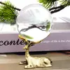 Adornos Explosivos Creativos de Ciervo con Base de Bola de Cristal para Hogar Oficina Soporte de Bola de Cristal Accesorios Decoración Manualidades Venta al por Mayor