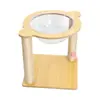 Estructura para trepar gatos Cápsula espacial Estructura para trepar gatos Nido de gato Estructura para trepar Nido de gato Casa para gato mascota Rascador de sisal para gato pequeño y simple