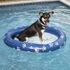 Boia inflável de PVC personalizada para piscina, cama flutuante para cachorro e filhote, animal de estimação grande, cachorro, gato, piscina flutuante