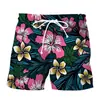 Shorts de Natação Masculino Verão Fornecimento Direto da Fábrica 2024 Comércio Exterior Transfronteiriço Shorts de Praia Quentes