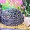 Escondite Hueco para Peces Pequeños y Camarones, Decoración de Tanque de Cría de Peces y Camarones de Plástico Anti-Cerámica de Panal