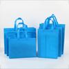 Bolsa de Compras de Tela No Tejida con Recubrimiento de Color Logotipo Personalizado Ecológica para Llevar Bolsa Tote Publicitaria para Capacitación Compras Personalización