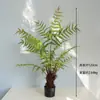 Samambaia Cabeça de Macaco Dourada Samambaia Cão de Ouro Árvore Falsa Persa Planta Verde de Chão para Interior Decoração de Luxo Leve Planta Falsa de Janela Planta em Vaso