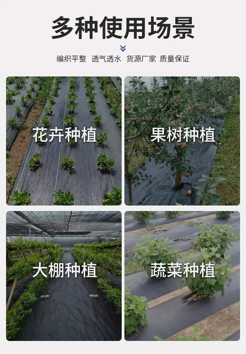 未标题-1_11.jpg