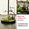 Plato giratorio para mesa de comedor Shanghai Meikong con adornos de musgo eterno, Decoración de mesa redonda para restaurante, Maceta decorativa de planta verde artificial
