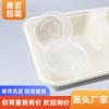 Caixa de almoço descartável biodegradável de polpa caixa de salada caixa para embalagem de alimentos leves caixa de almoço retangular caixa de almoço ecológica para viagem