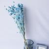 Flor Eterna do Fruto em Forma de Coração, Flores de Cardo Pequenas Secas, Flores Preservadas, Materiais de Flores Naturais Reais, Arranjos Florais, Flores de Grama, Buquês para Casamentos