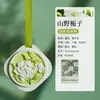 Fragrância de Melaleuca Pendurada no Guarda-Roupa, Enfeite Pendurado para Carro, Pastilhas de Fragrância para Carro, Difusor de Gesso de Gardênia, Aromaterapia para Carro