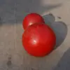 Pelota Sólida de Caucho de Poliuretano Recubierta de PU Pelota Redonda Pantalla Vibratoria Alta Elasticidad Resistente al Desgaste Bola de Molienda para Pantallas Vibratorias