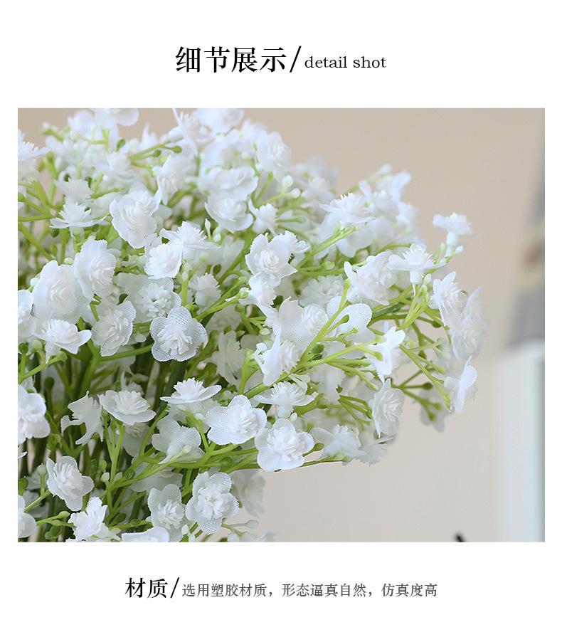 单枝蝶舞满天星_08.jpg