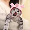Amazon se Convierte en un Sombrero, Sombrero para Mascotas, Sombrero para Perros y Gatos, Gorro para Gato, Muñeco de Conejo Divertido para Halloween al por Mayor