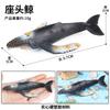 Mini Modelo Brinquedo de Animal Marinho Simulado Suculento Micro Paisagem Enfeites Tubarão-Baleia Peixe Leão-Marinho Decoração de Bolo Presente