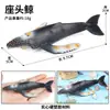 Modelo de Brinquedo de Animal Marinho Simulador Baleia Azul Peixe Diabo Tubarão Branco Megalodonte Orca Baleia Beluga Enfeites de Aquário