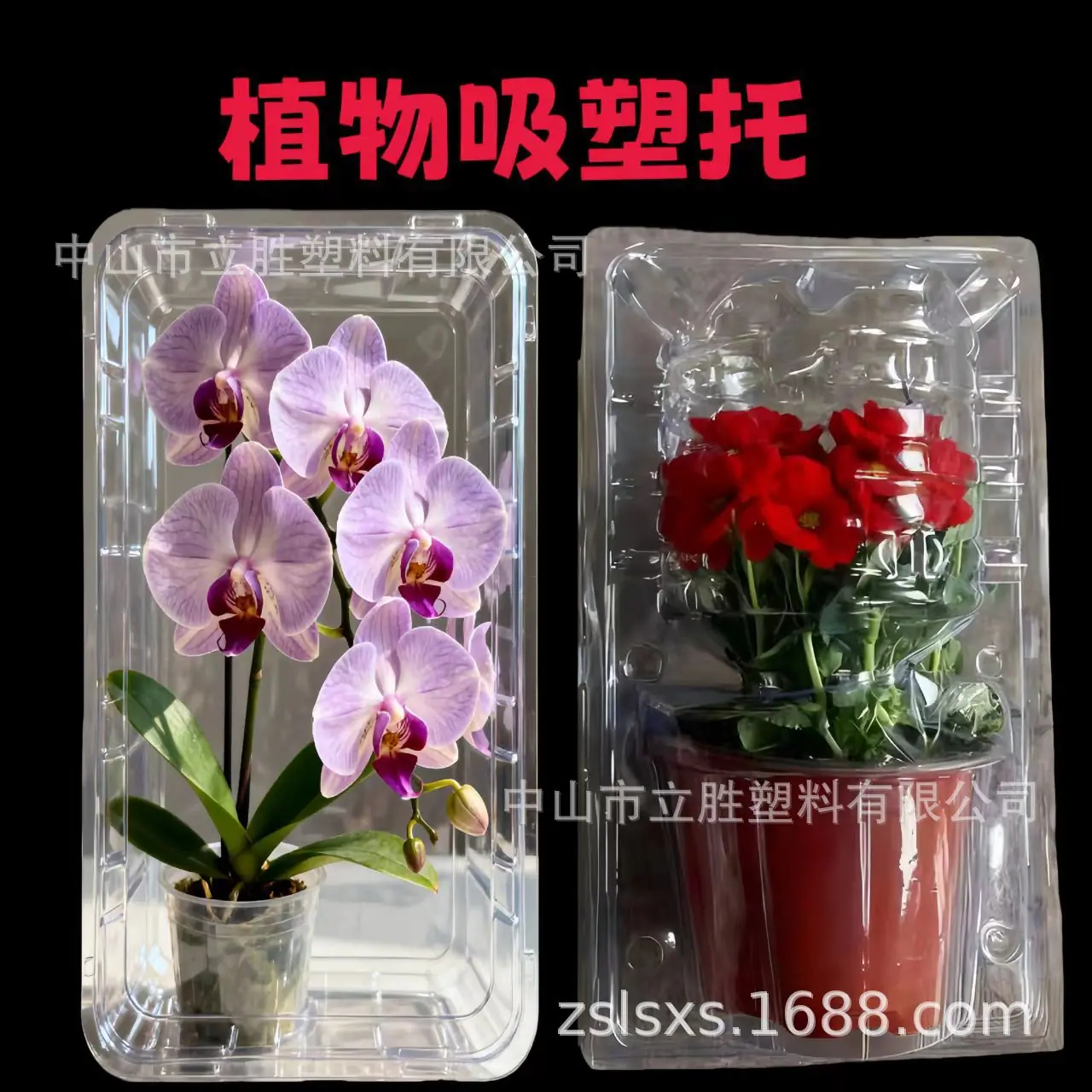 微信图片_20251030133226_638_2