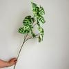 Nueva planta verde artificial hoja de loto 5 puntas color hoja de taro boda fondo salón de bodas decoración suave hoja de ingeniería exterior