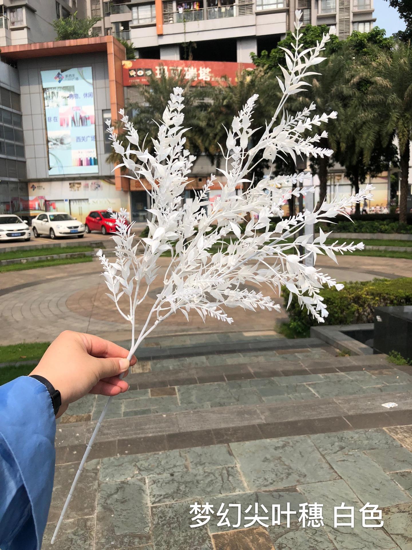 微信图片_20190925184233