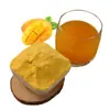 Polvo de Mango Bebida Sólida Sustituto de Comida Té de Leche Ingrediente para Hornear Fábrica de Alimentos para Catering Suministro Directo Al Por Mayor En Stock