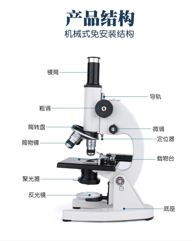 MY-XWJ0017_08.jpg
