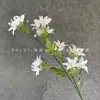 Flores Artificiais Orquídea de 7 Cabeças Arranjo de Casamento Fundo Arranjo de Flores Decoração de Hotel Buquê de Teto Flores Artificiais Pequenas Frescas Transfronteiriço