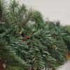 Bola navideña de PVC transfronteriza Hongyu con decoración luminosa, árbol invertido, puerta de entrada, colgante de pared para el hogar, colgante navideño