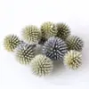 Casca de fruta faça você mesmo, pinha, lascas de madeira, folhas, flores secas, combinação de frutas secas, decoração de natal, decoração de jardim de infância, adereços retrô