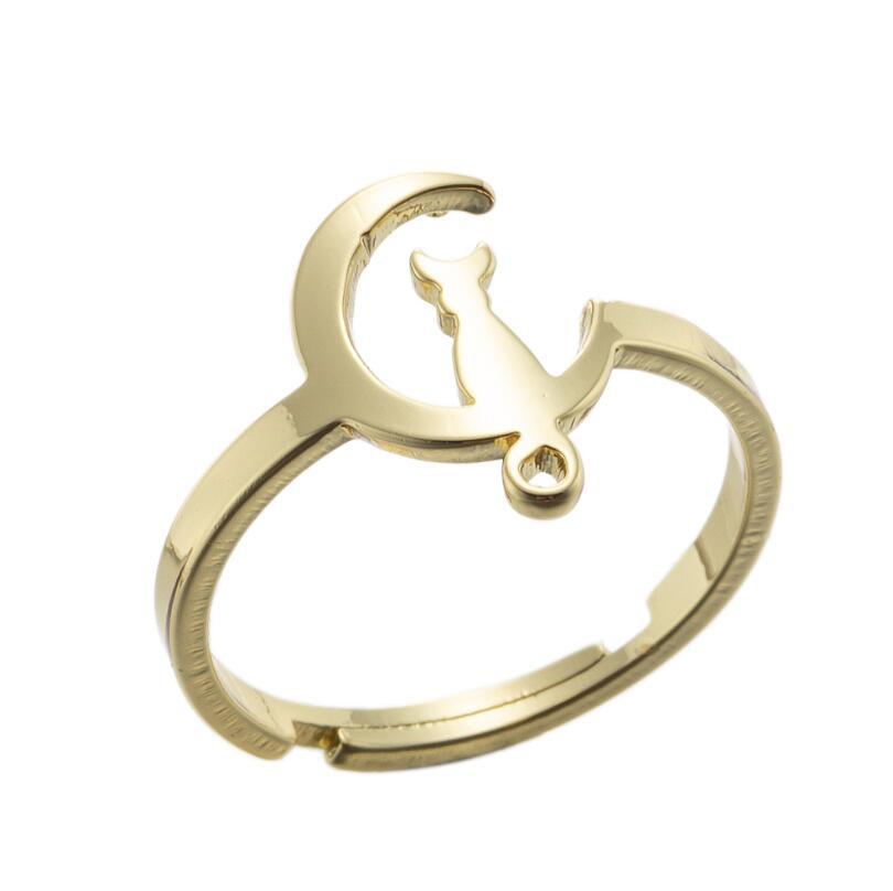 Cat sit on moon ring