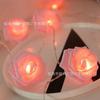 Rosa Simulada Glória da Manhã Frangipani Luz Led Cordão de Luz Decorativo Puro para Dia dos Namorados Proposta Confissão Luz Decorativa