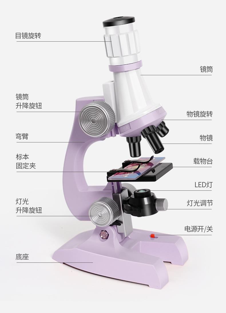显微镜详情-绿紫_18_02.jpg
